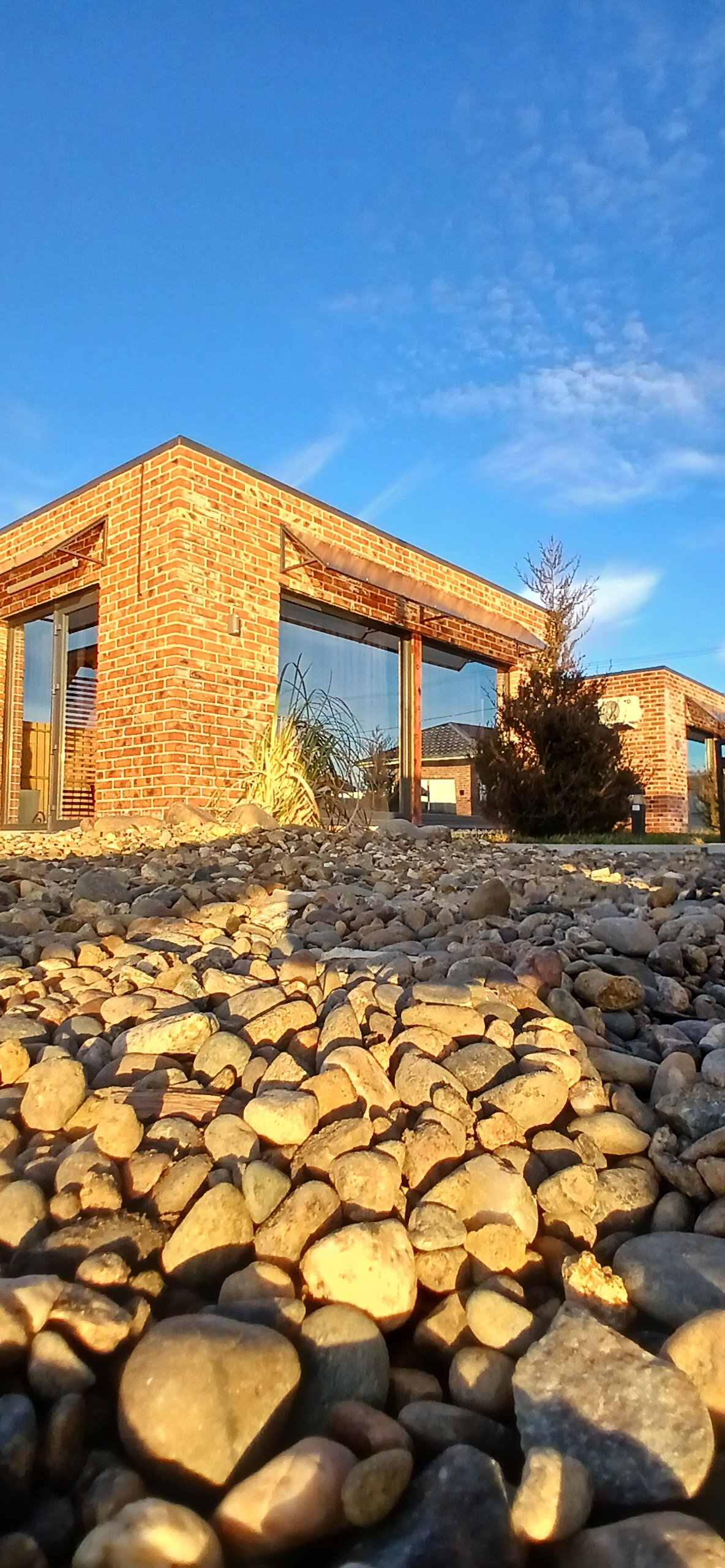 Фото Мур Мур