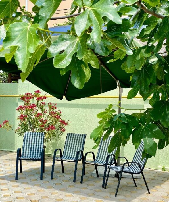 Фото Сочи Ярдъ