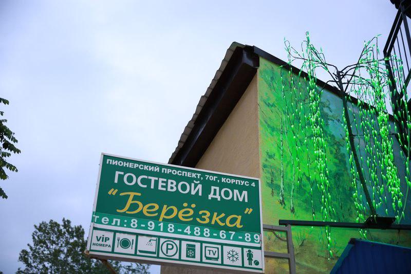 Фото Березка