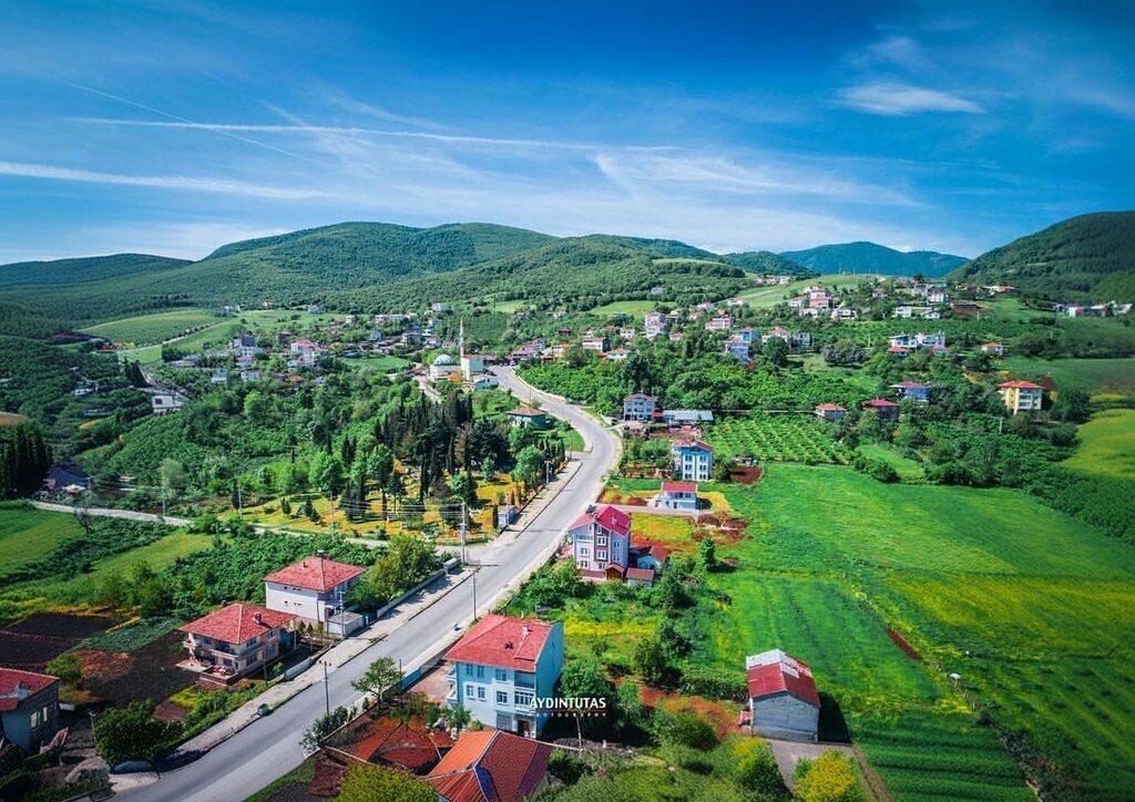 Cafe Taflan Social Facilities, Atakum, photo