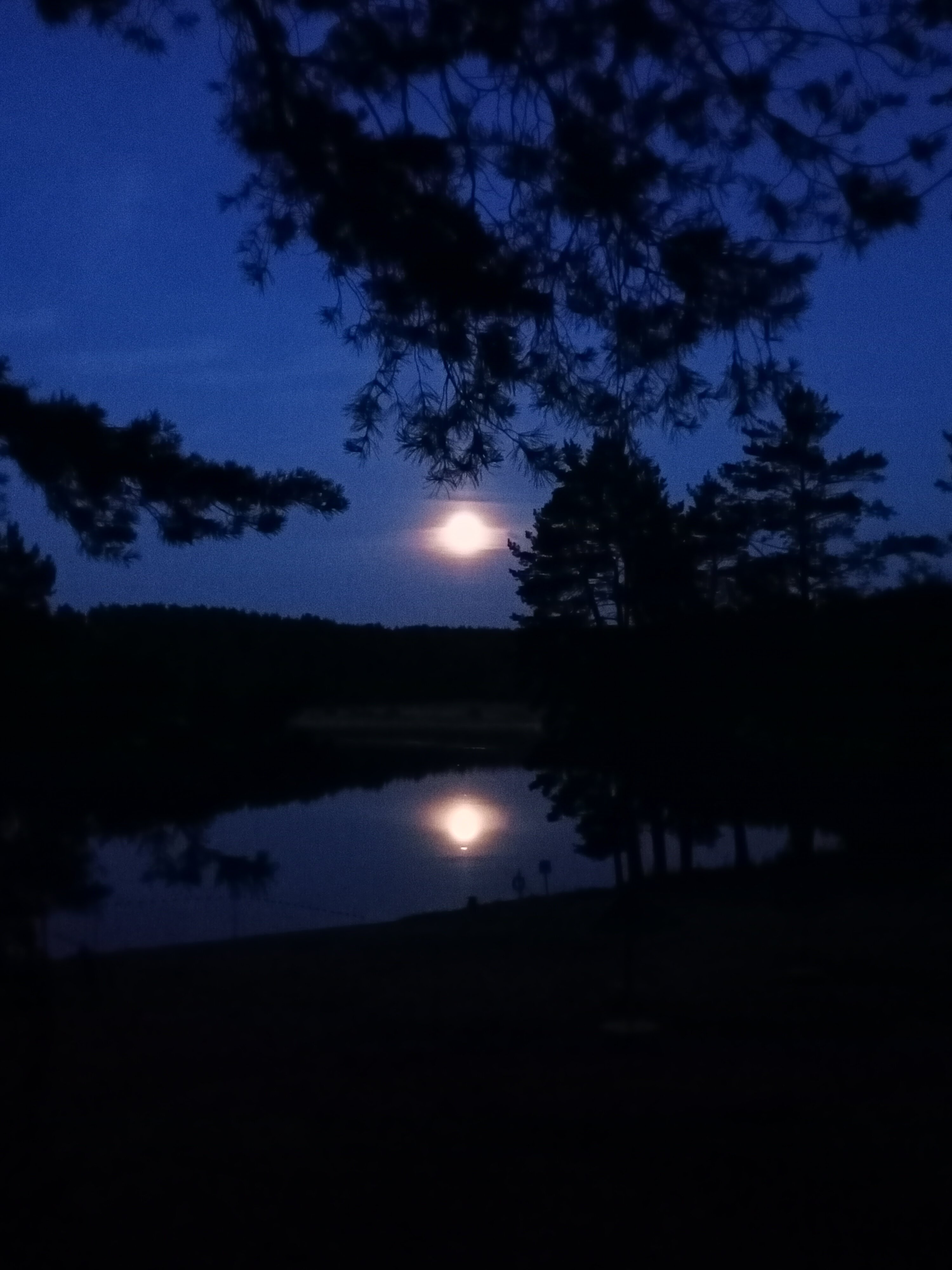 Фото База отдыха Яльчик