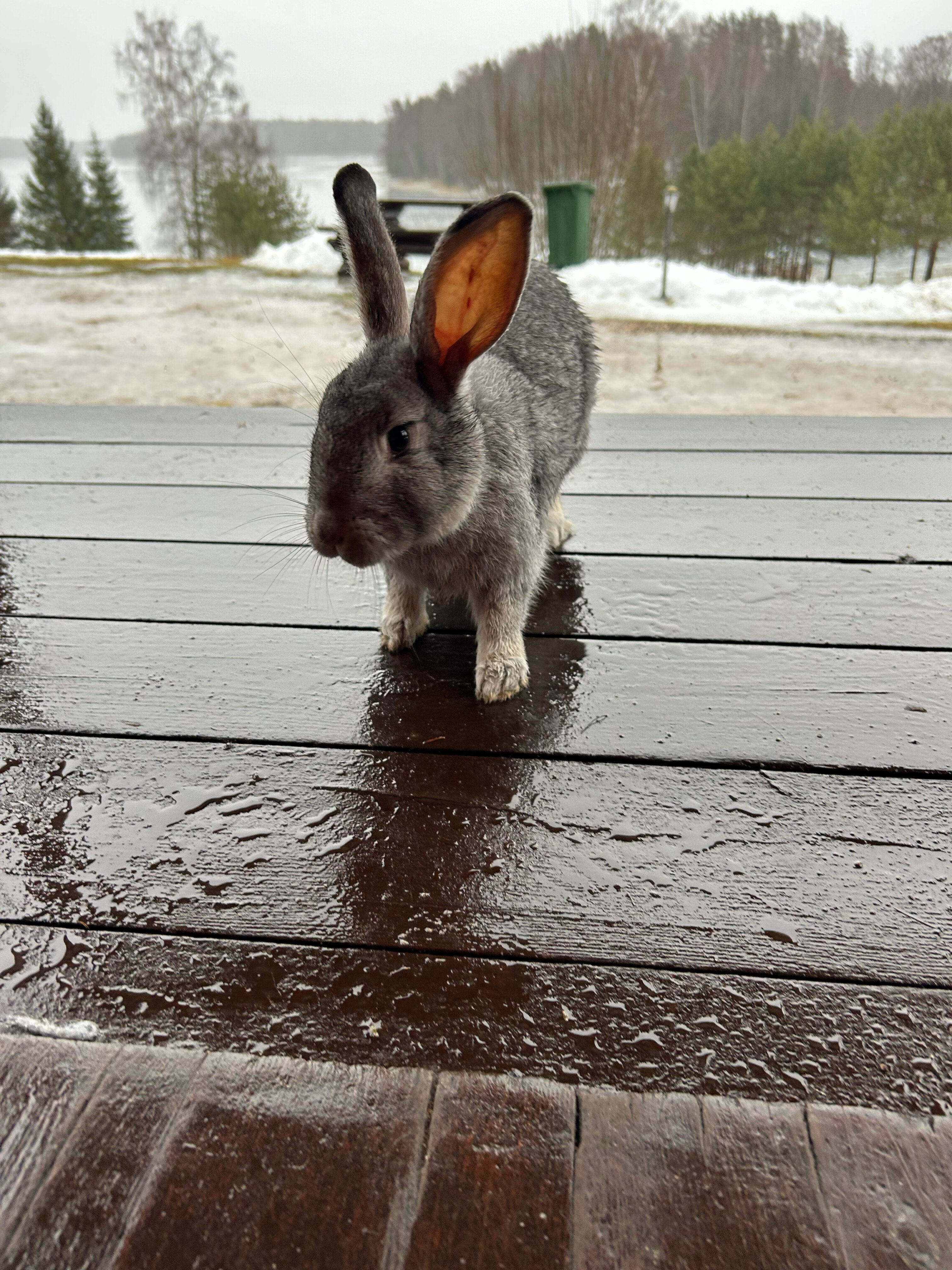 Фото Валдайская усадьба