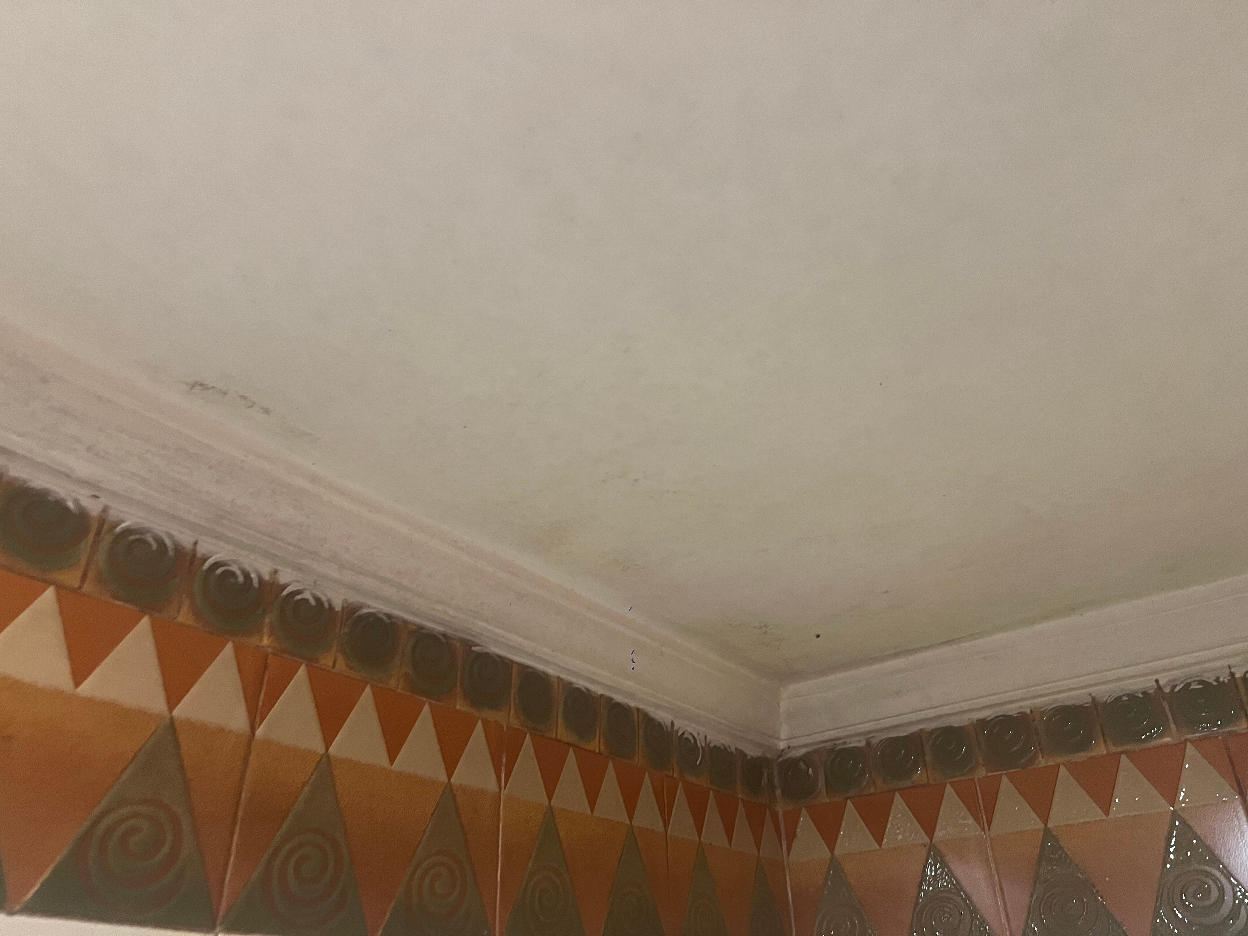 Фото Coconut Grove