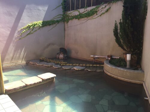 Гостиница Daimaruya Ryokan