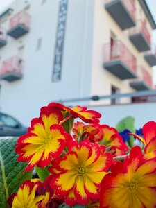 Гостиница Hotel Marylise