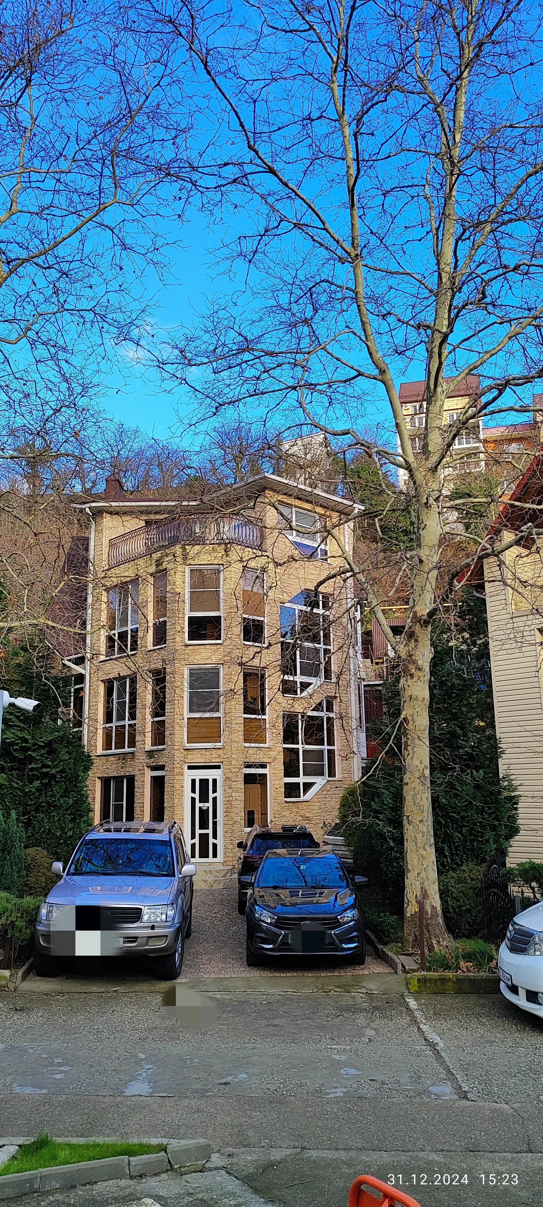 Фото Розмарин