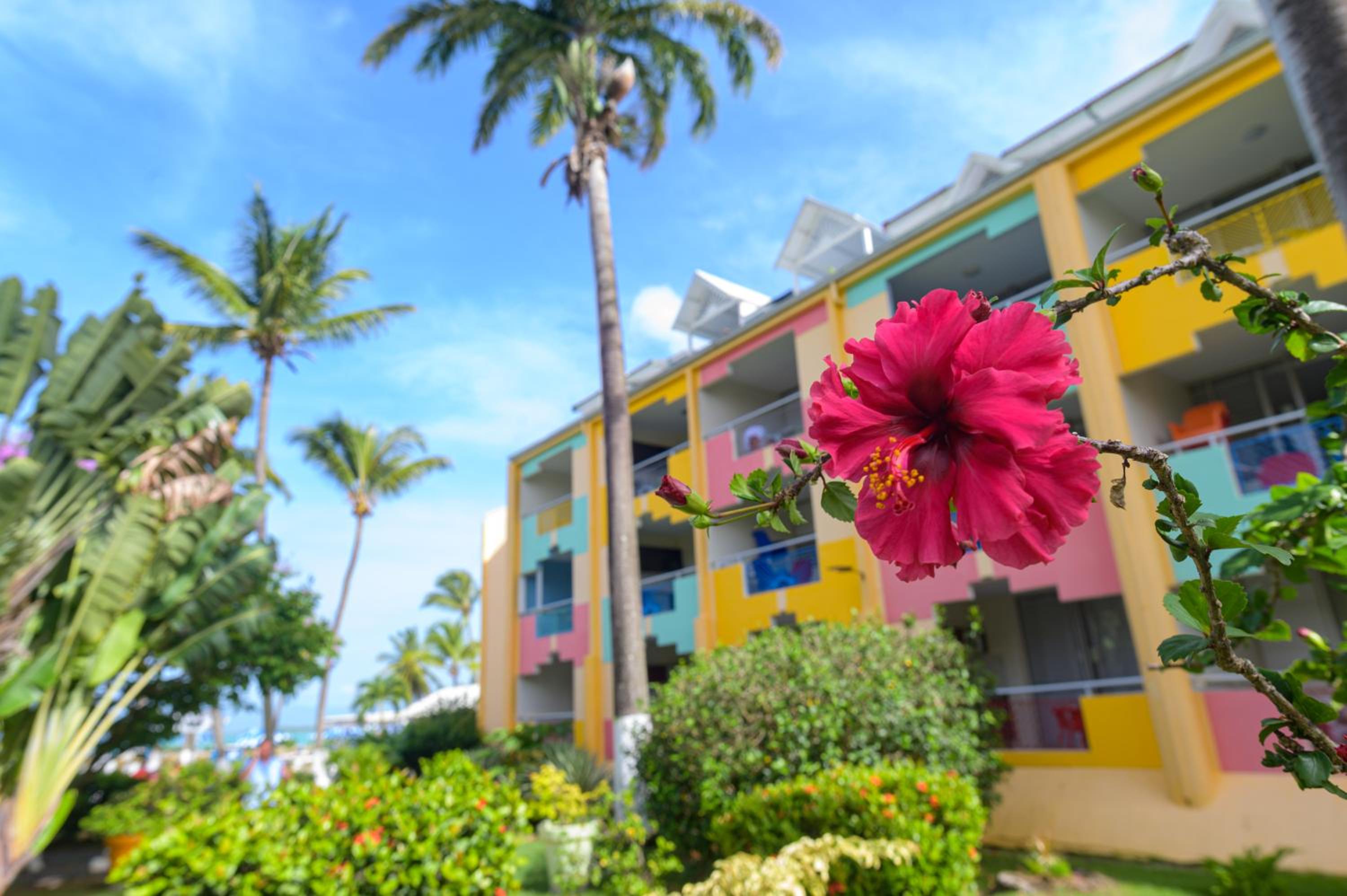 Фото Canella Beach Hotel