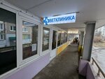 Zoodoc (Lesnaya ulitsa, 15А), veterinary clinic