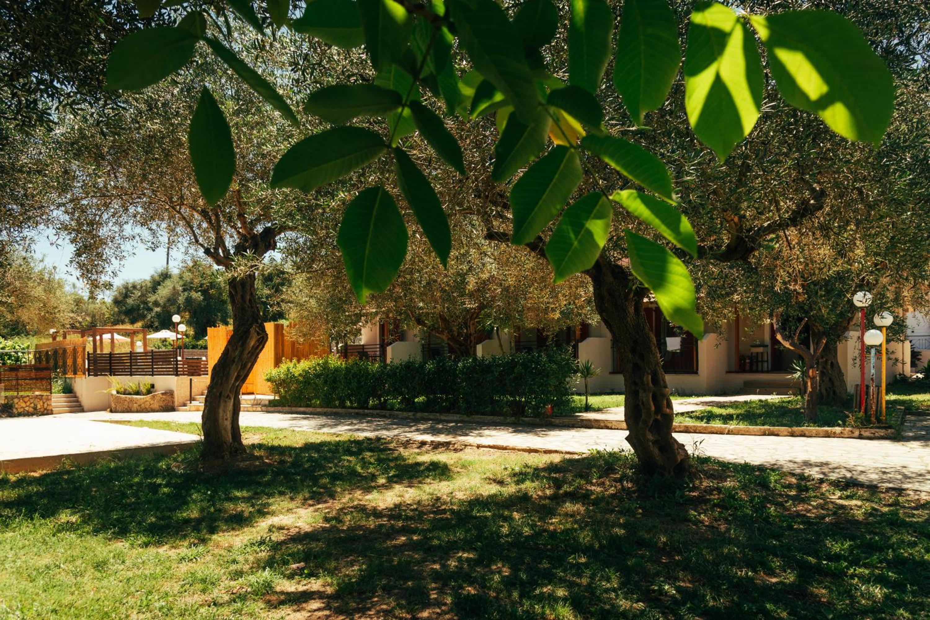 Фото Kalypso Studios