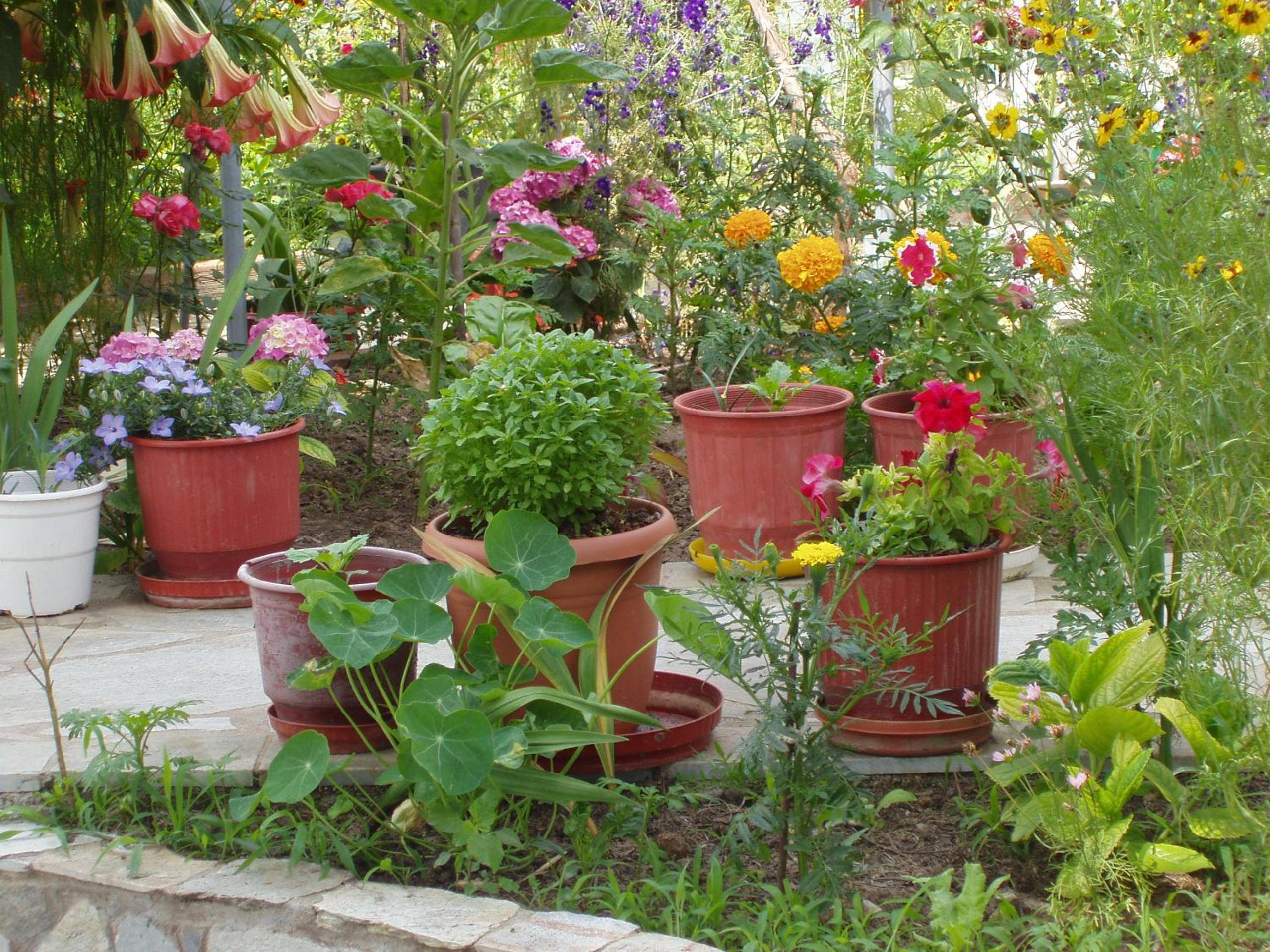 Фото Villa Kavourakia