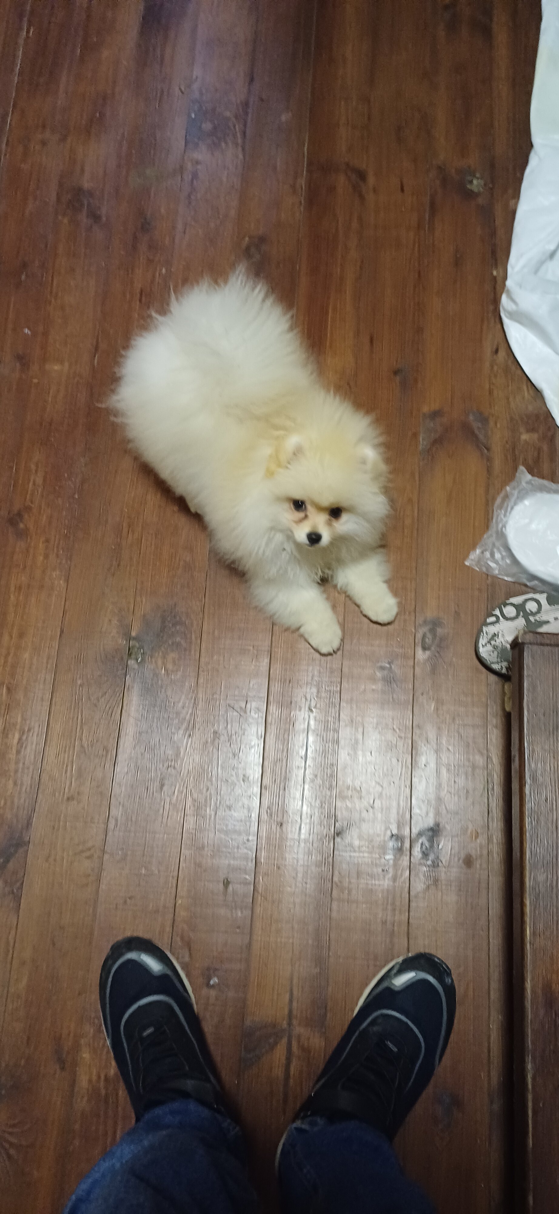 Фото Вилла Фамилия