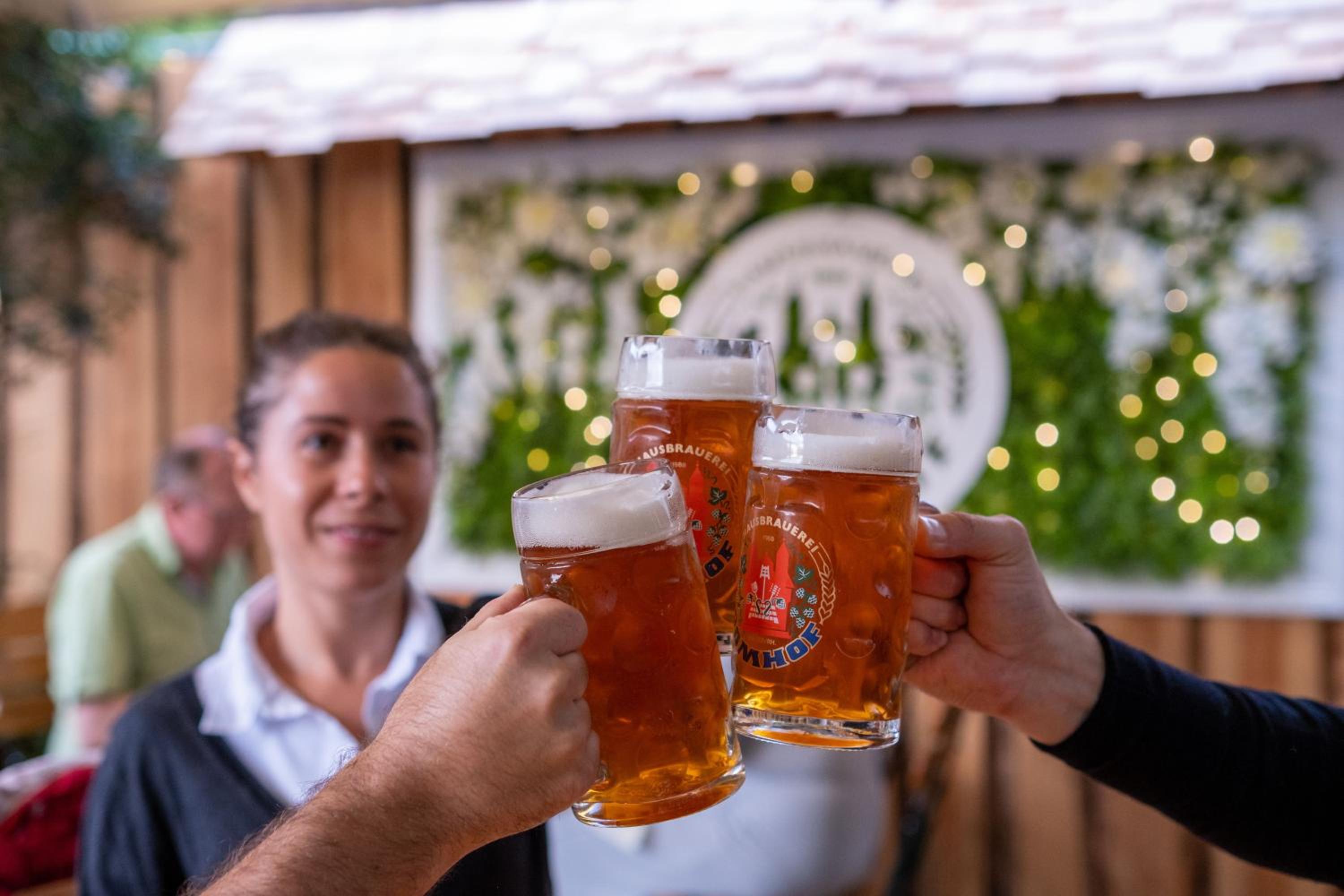 Фото Hotel Domhof