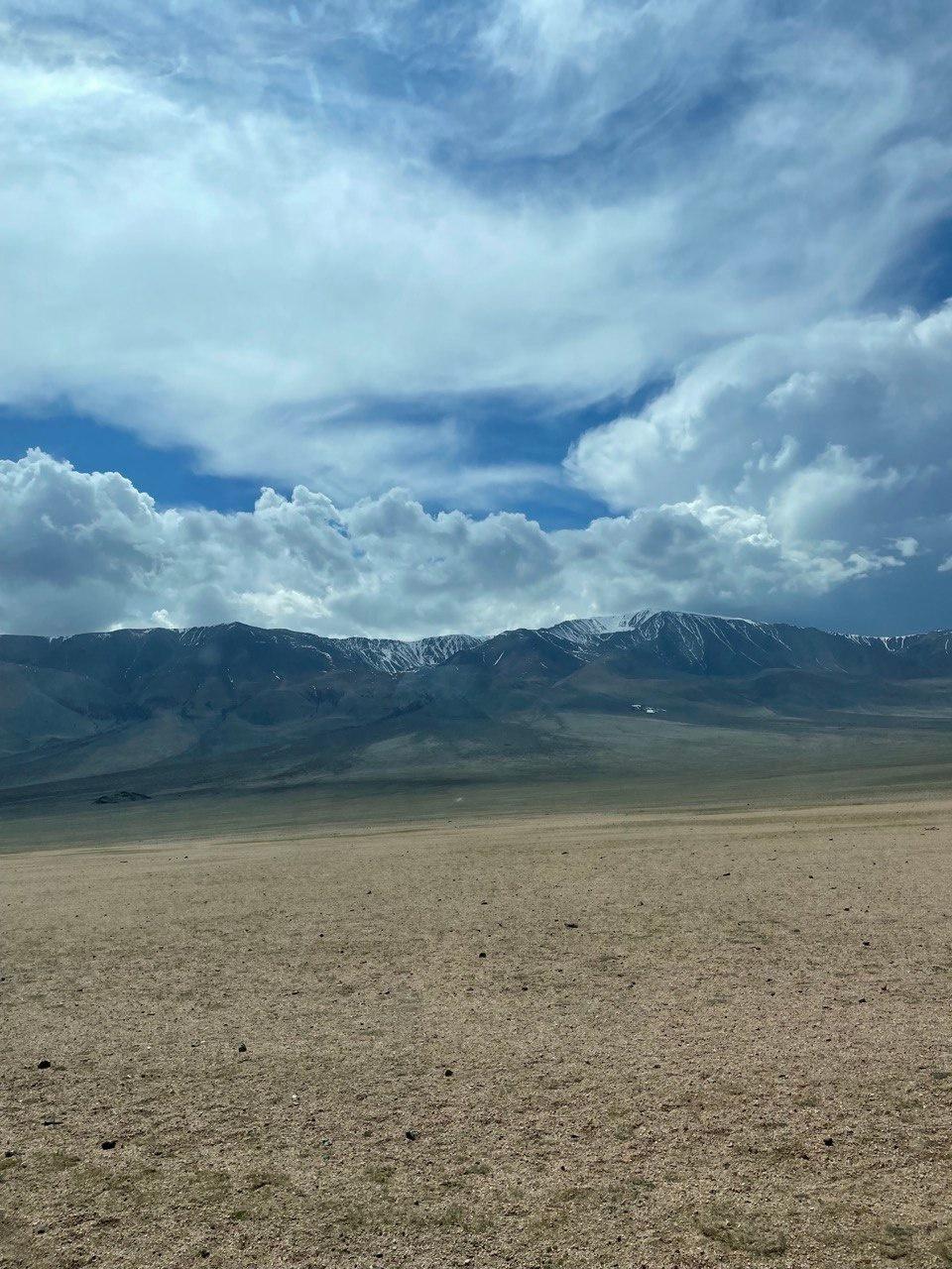 Фото АлтайЭкоКедр