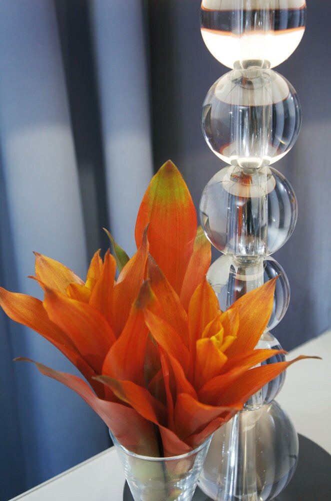 Фото Chateau Frontenac