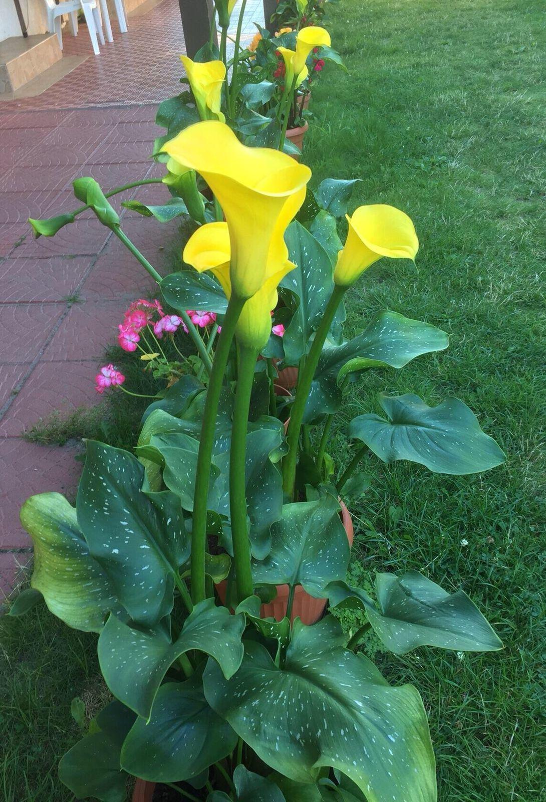 Фото Отдых на Куршской косе