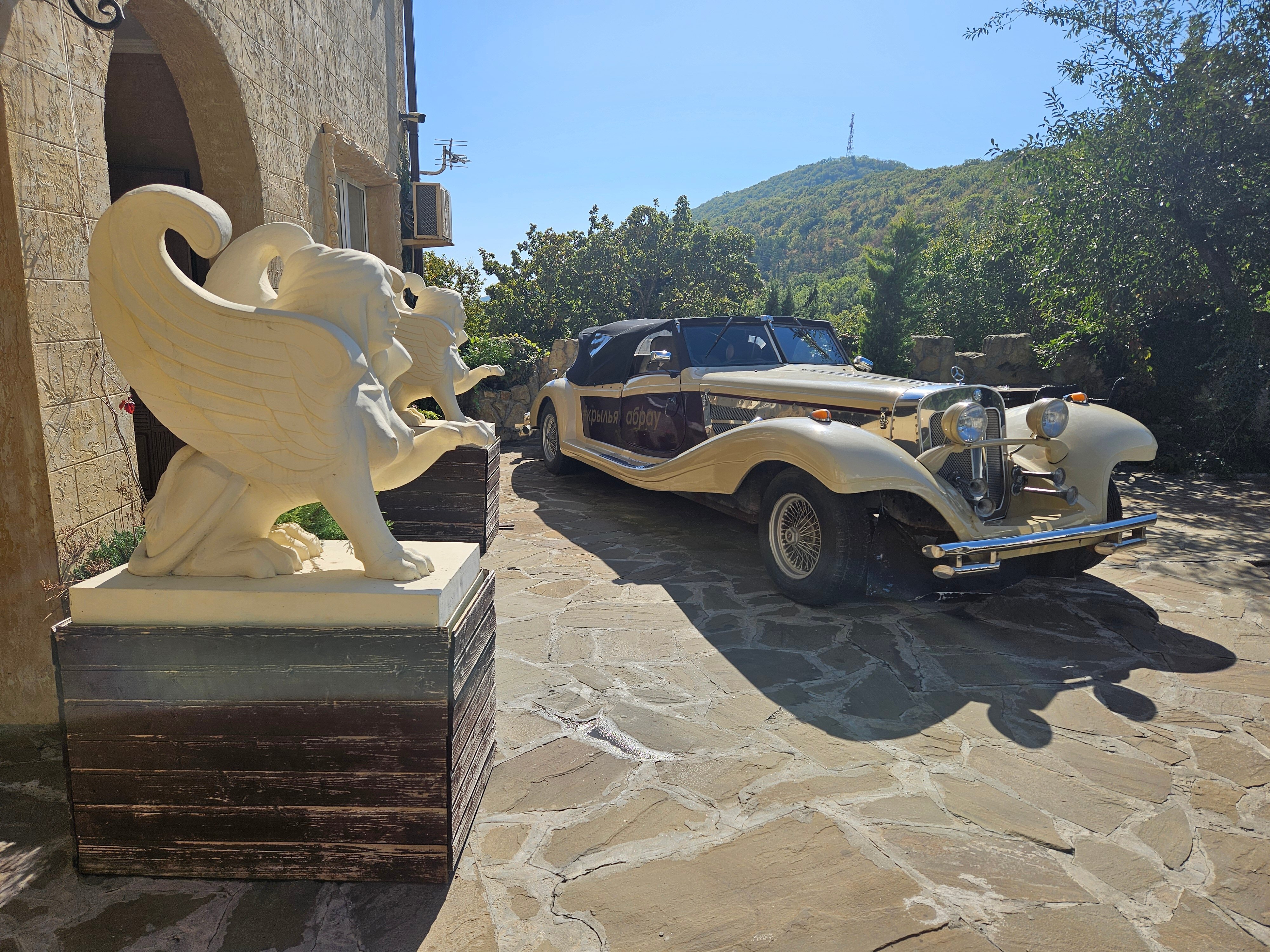 Фото Крылья