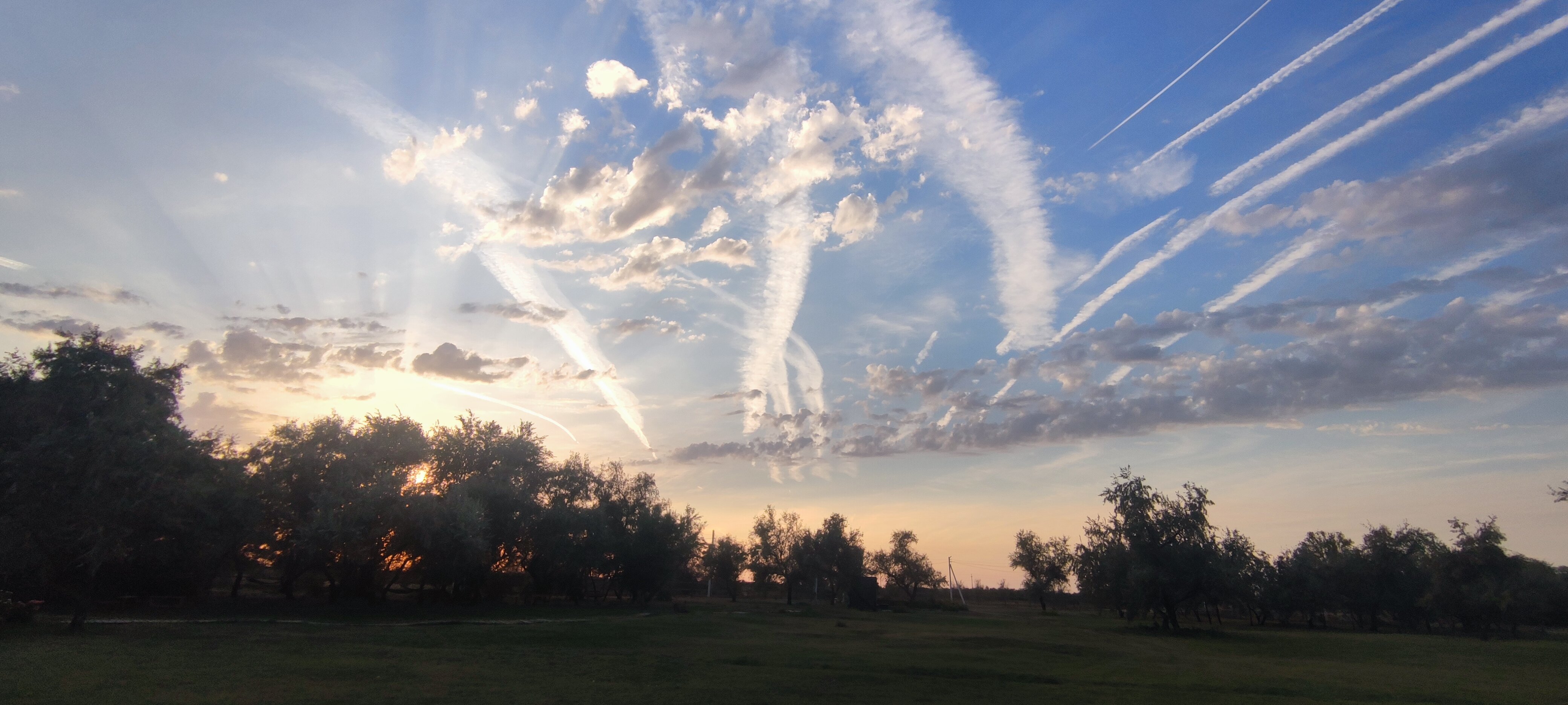 Фото Загородный парк Баклушино