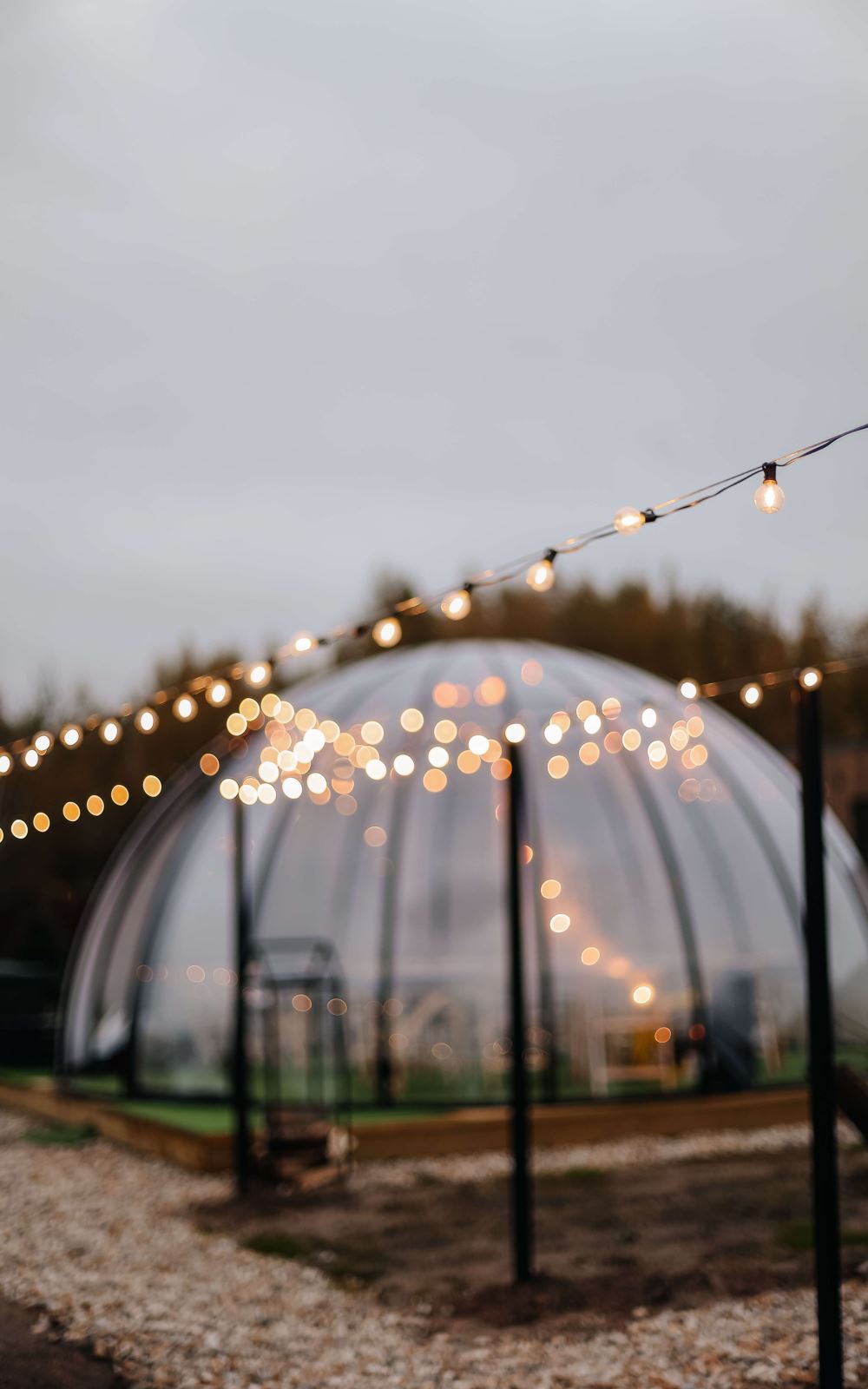 Фото Смарт Дача Завидово