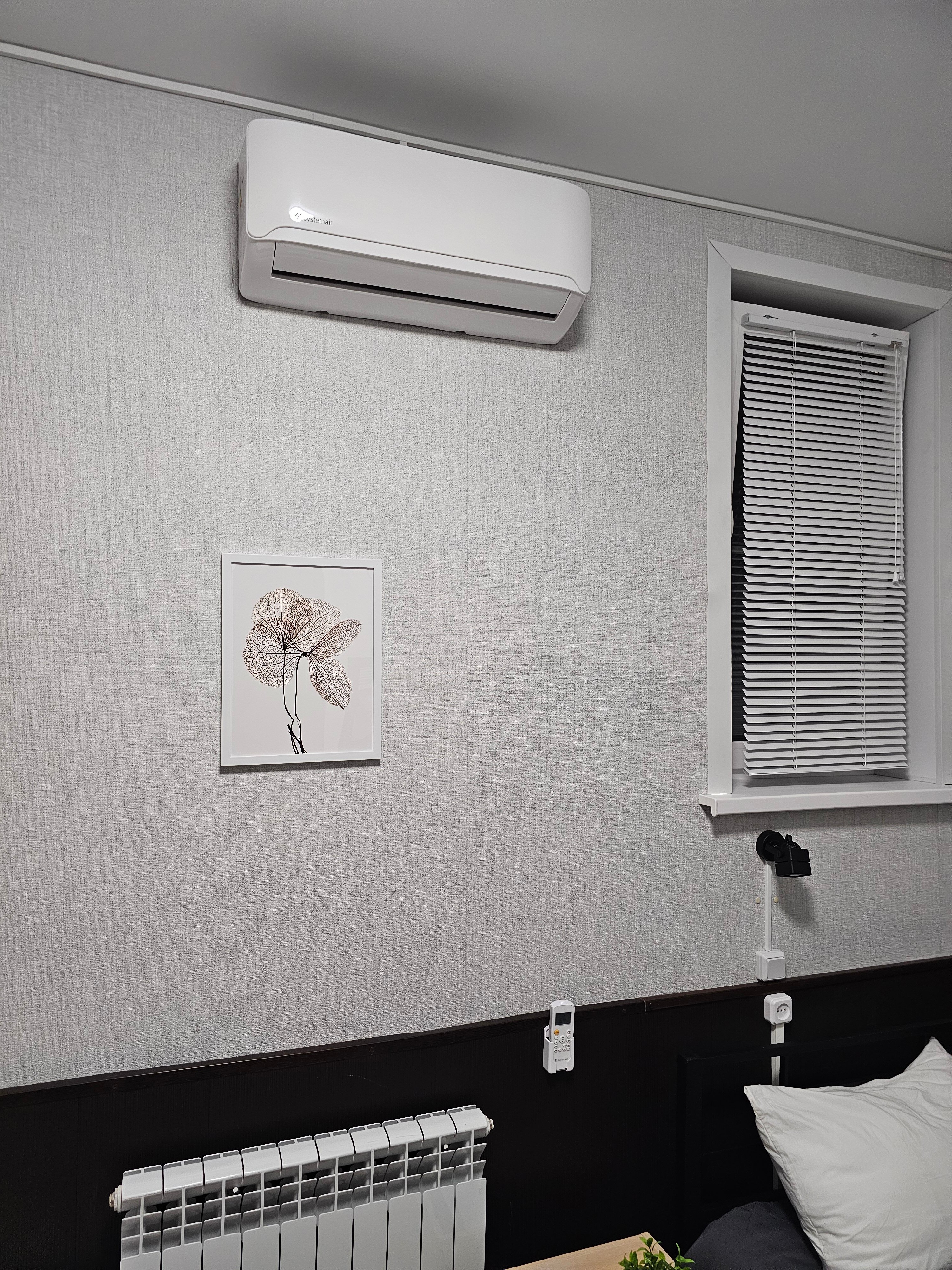 Фото Колибри