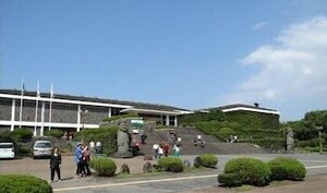 Гостиница Twins Hotel Jeju
