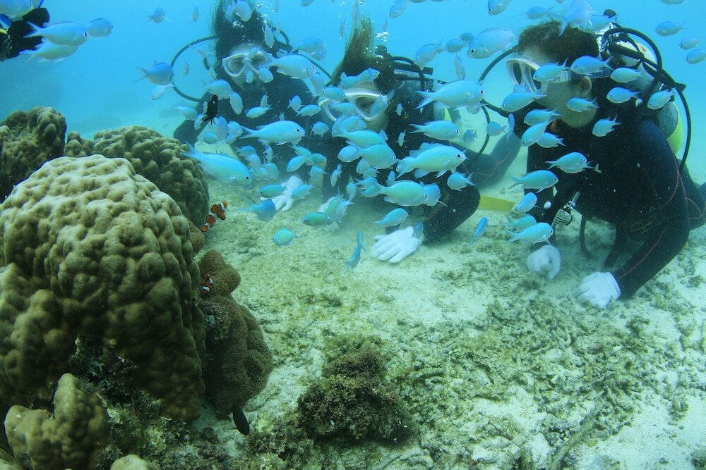 Фото Hot Cross Point Santa Monica