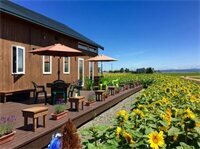 Гостиница Country Cottage Wakiaiai