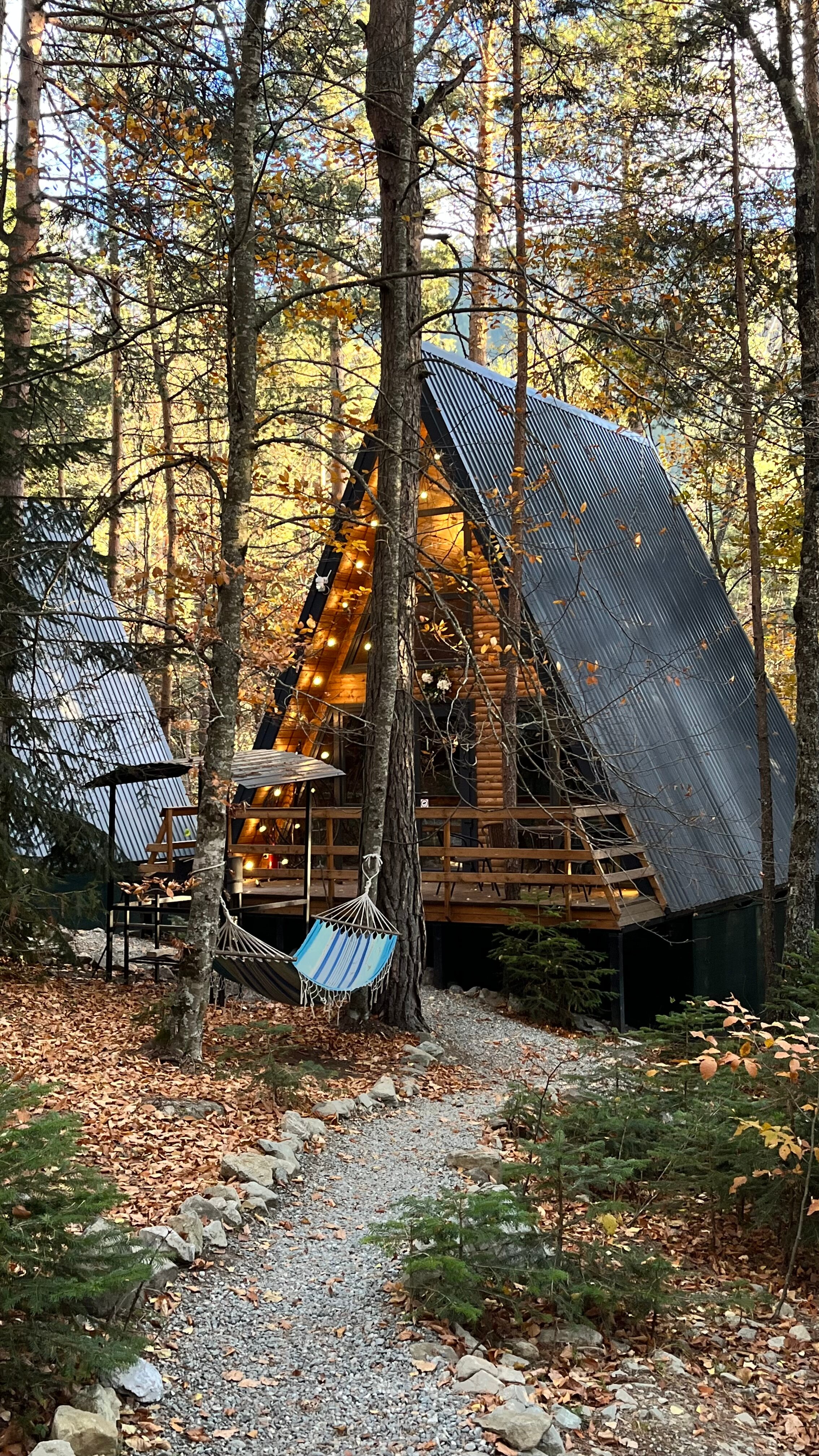 Фото Отель Пушкин