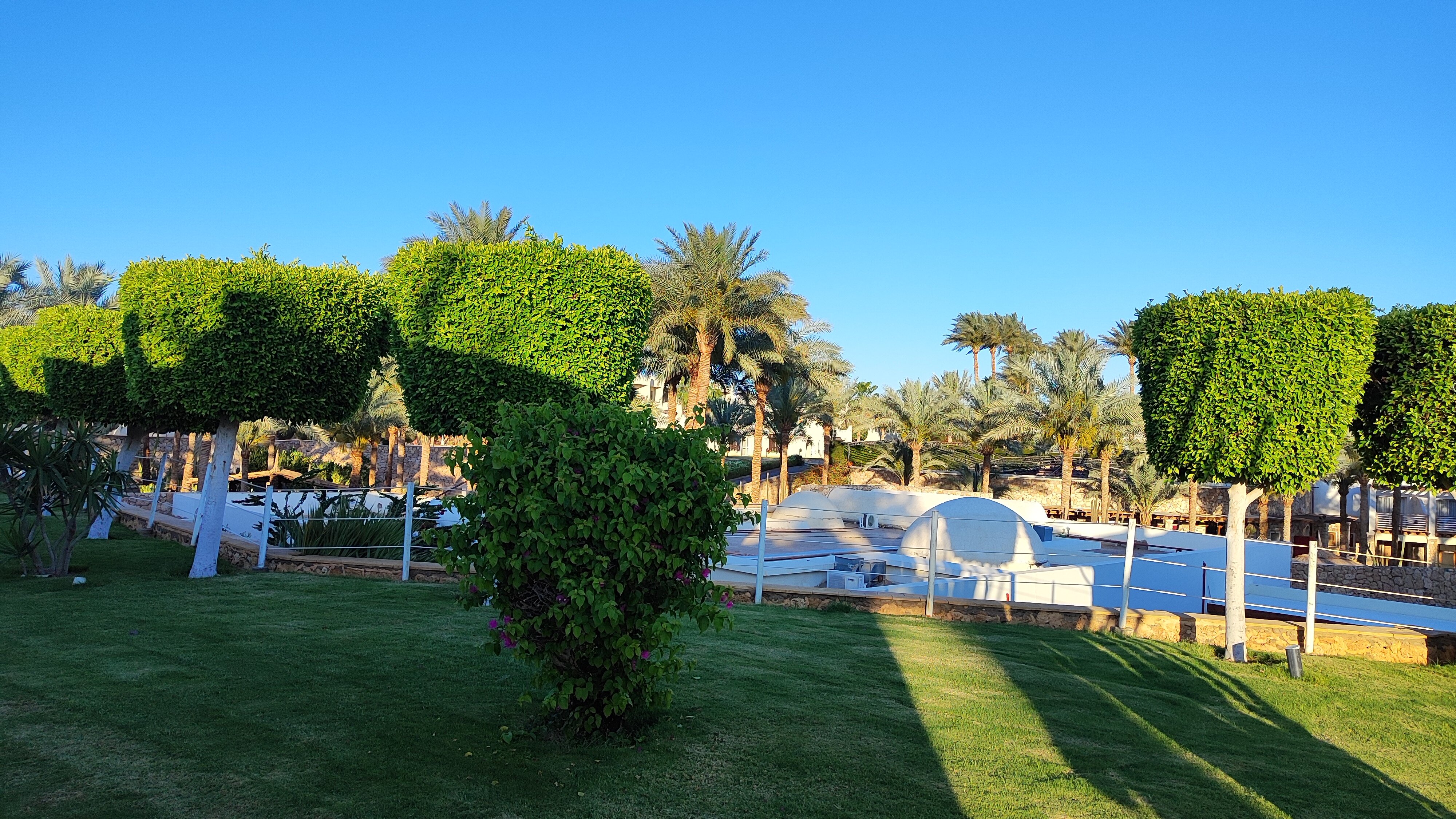 Фото Reef Oasis Beach