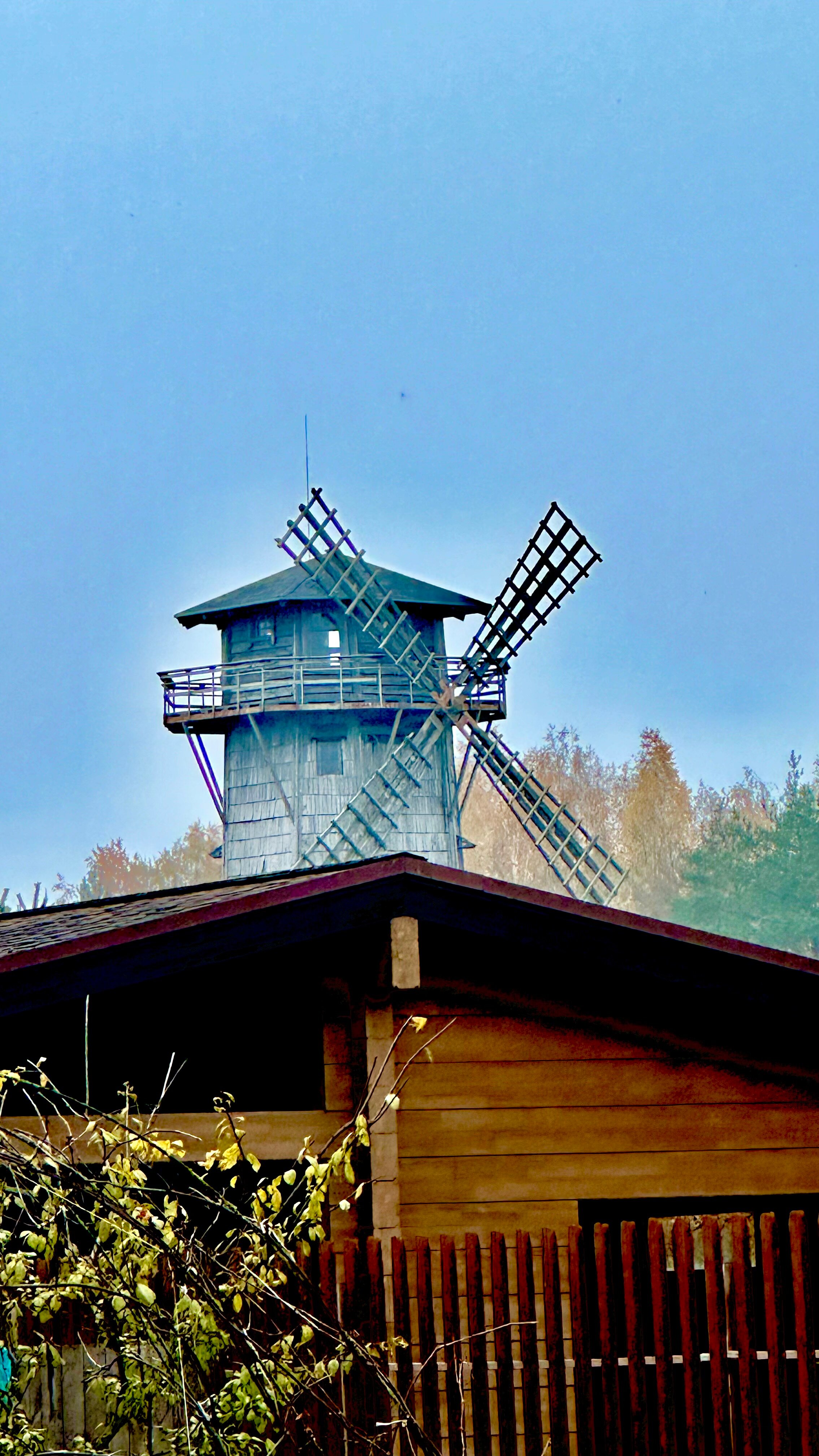 Фото Журавушка