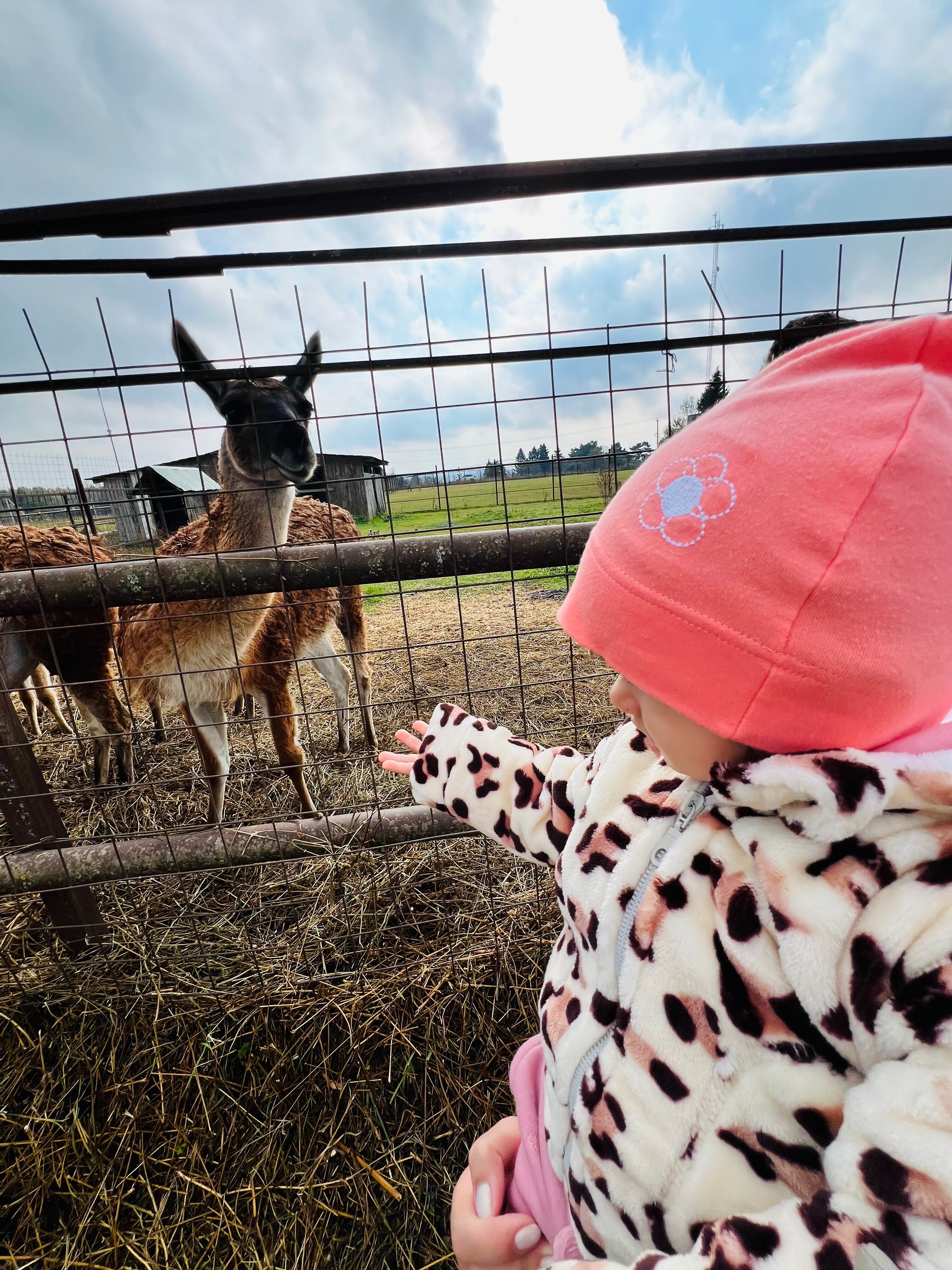 Фото Дом-шале в Сорочанах