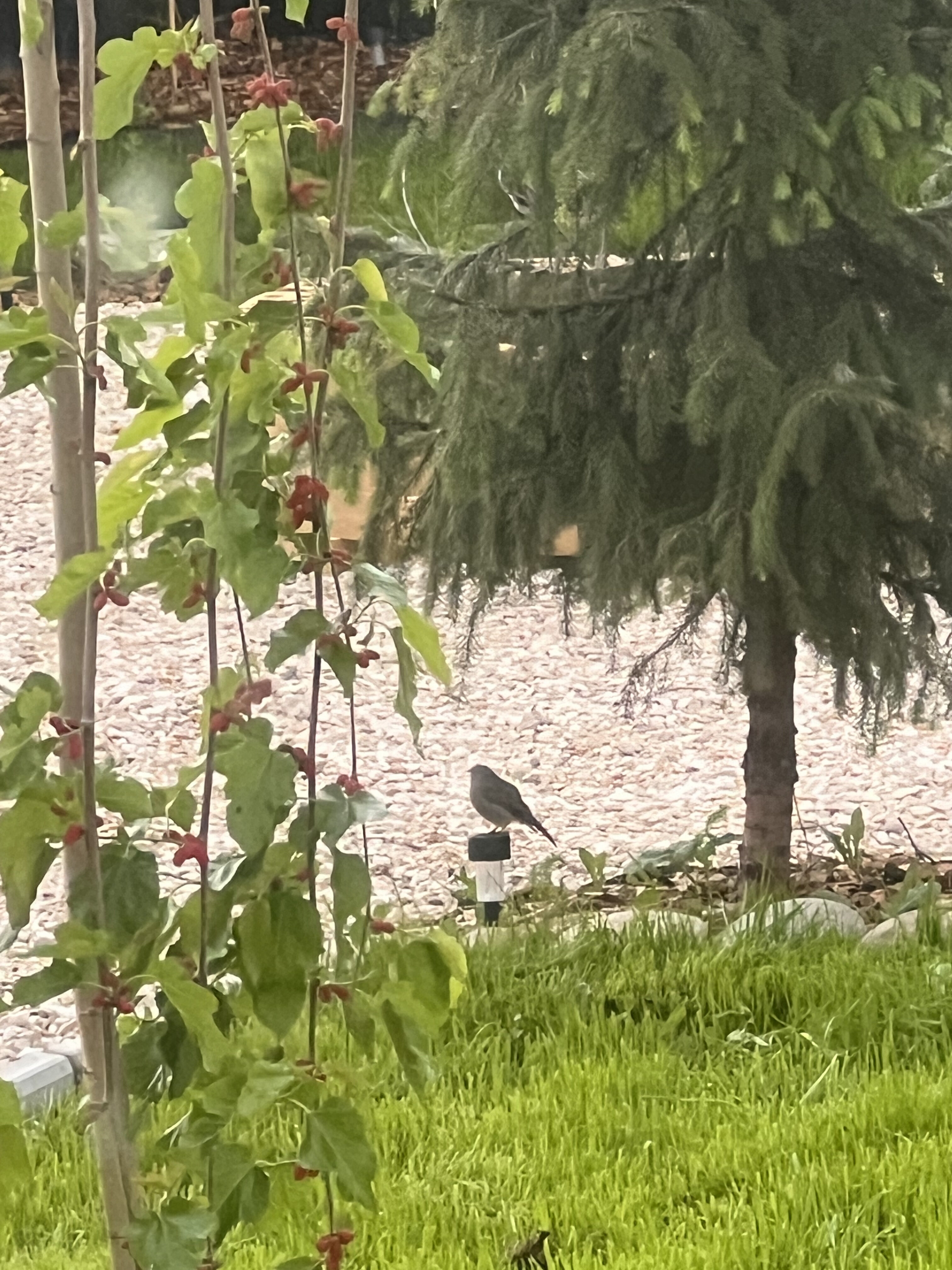 Фото Ernesto Armani