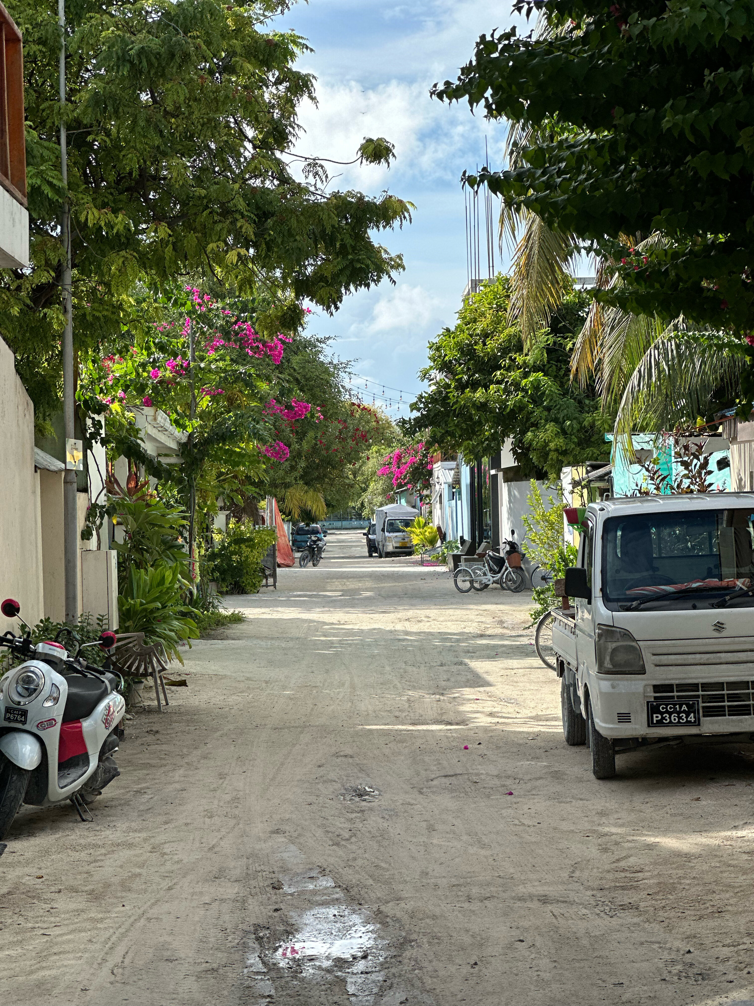 Фото Season Paradise