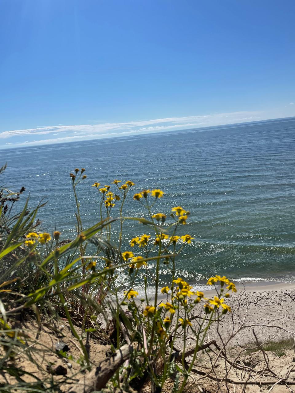 Фото Клуб семейного отдыха Медведь