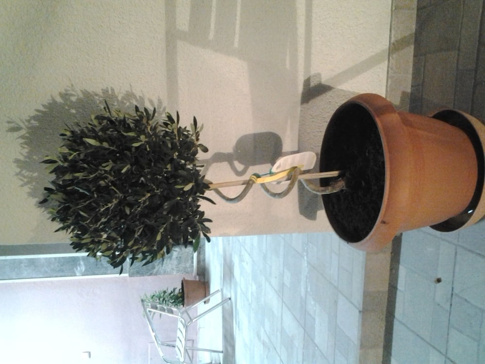 Фото Mastic Point Studios