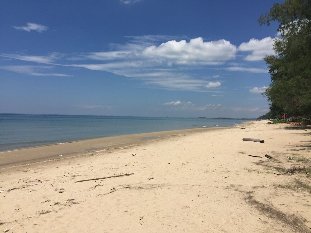 Фото Tree Roots Retreat