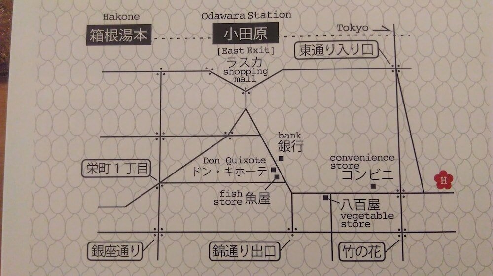 Фото Plum Hostel