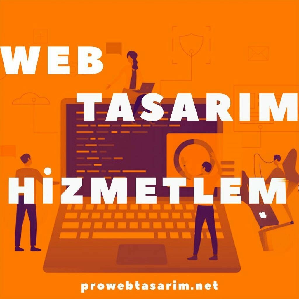 Web design studio Samsun Pro Web Design, Samsun, photo