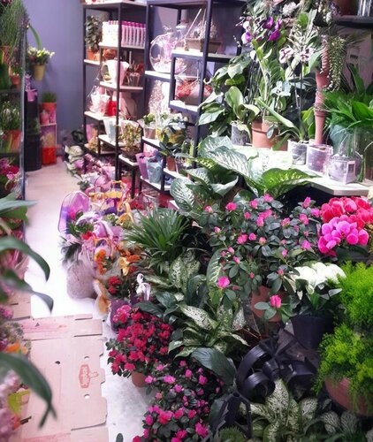 Civelekler Kuyumculuk Fotoğraf 1