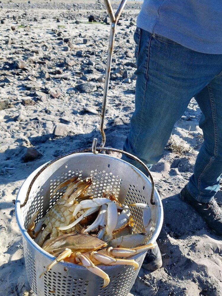 Фото The Waldport Inn