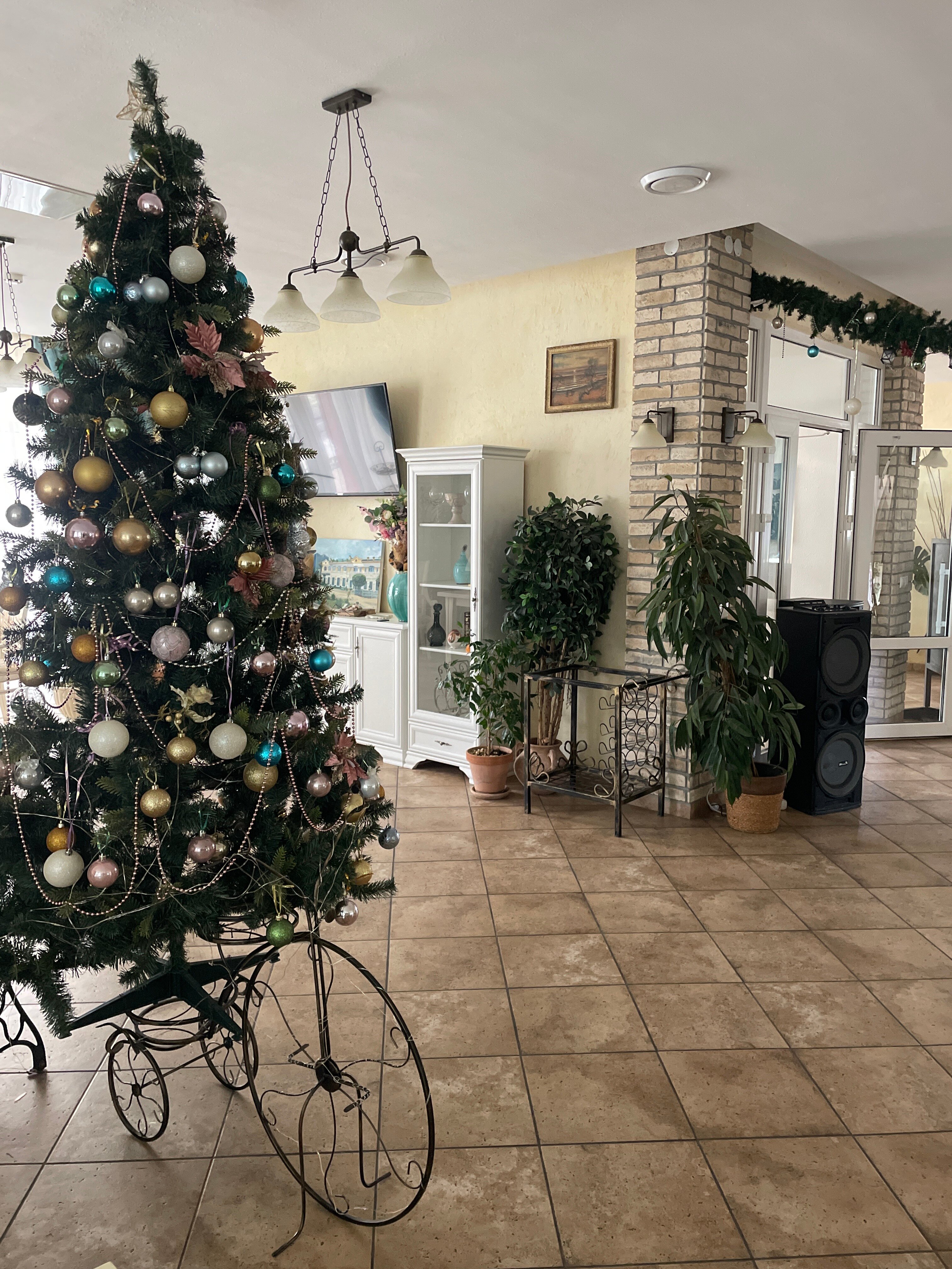 Фото Бирюза