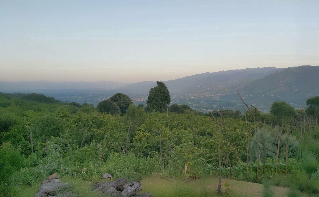 Mosque Zekeriya Koyu Mosque, Golyaka, photo