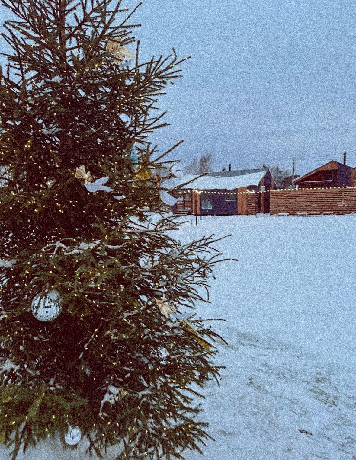 Фото Дружба