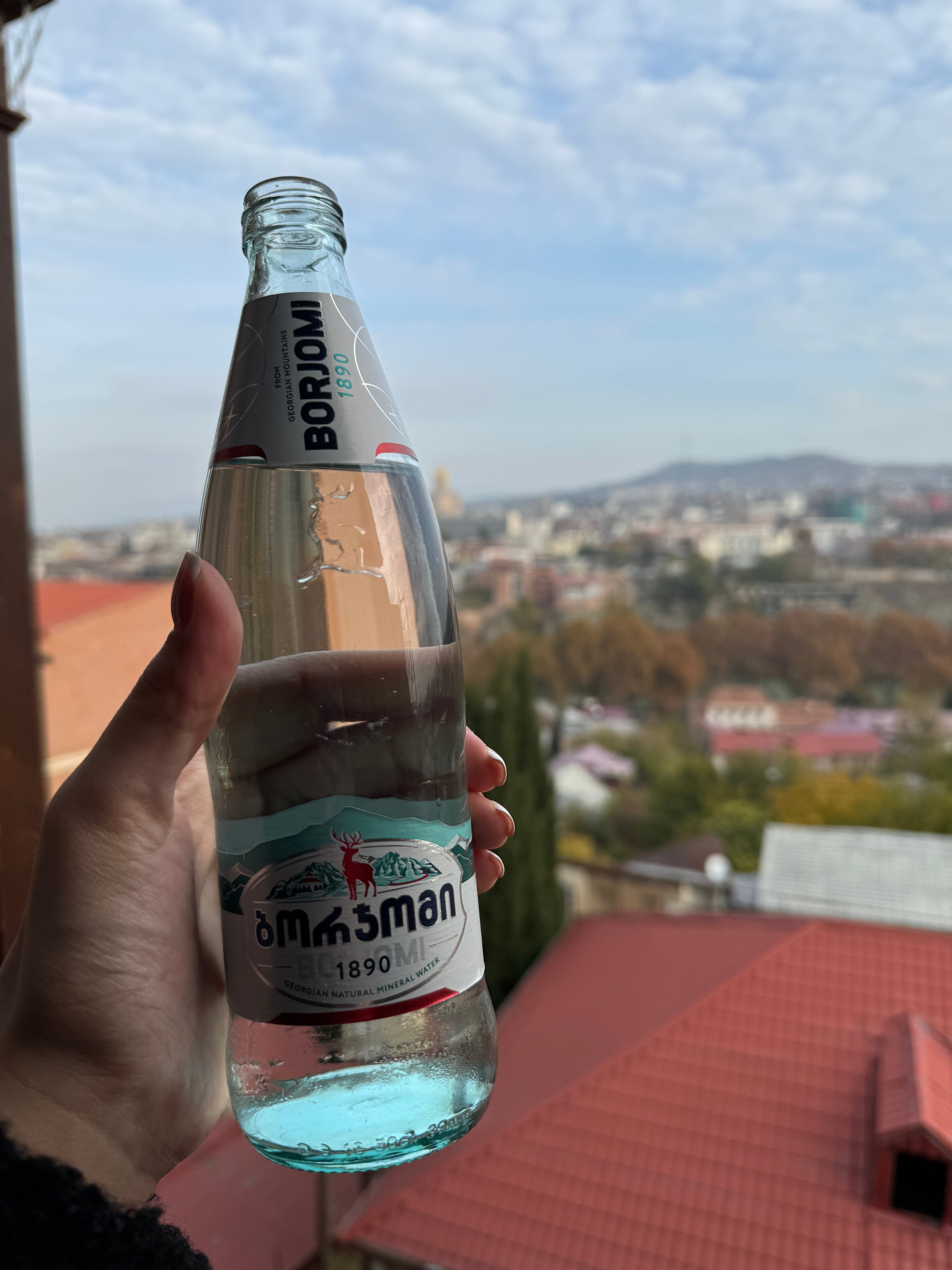 Фото Hotel Sole Palace