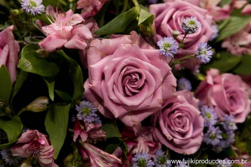 Фото Mercure Sao Jose Dos Campos Hotel