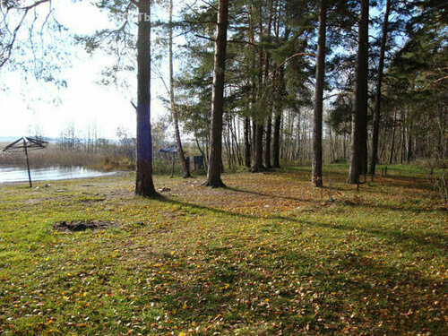 Yazlık yerleşim Усадьба Стрельцово, Saint‑Petersburg ve Leningradskaya oblastı, foto