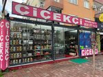 Big Boss Floristry (Antalya, Muratpaşa, Barınaklar Blv., 120D), floristeria