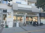 Lotus Coiffeur (İzmir, Balçova, Mithatpaşa Cad., 57A) ، مصففو الشعر