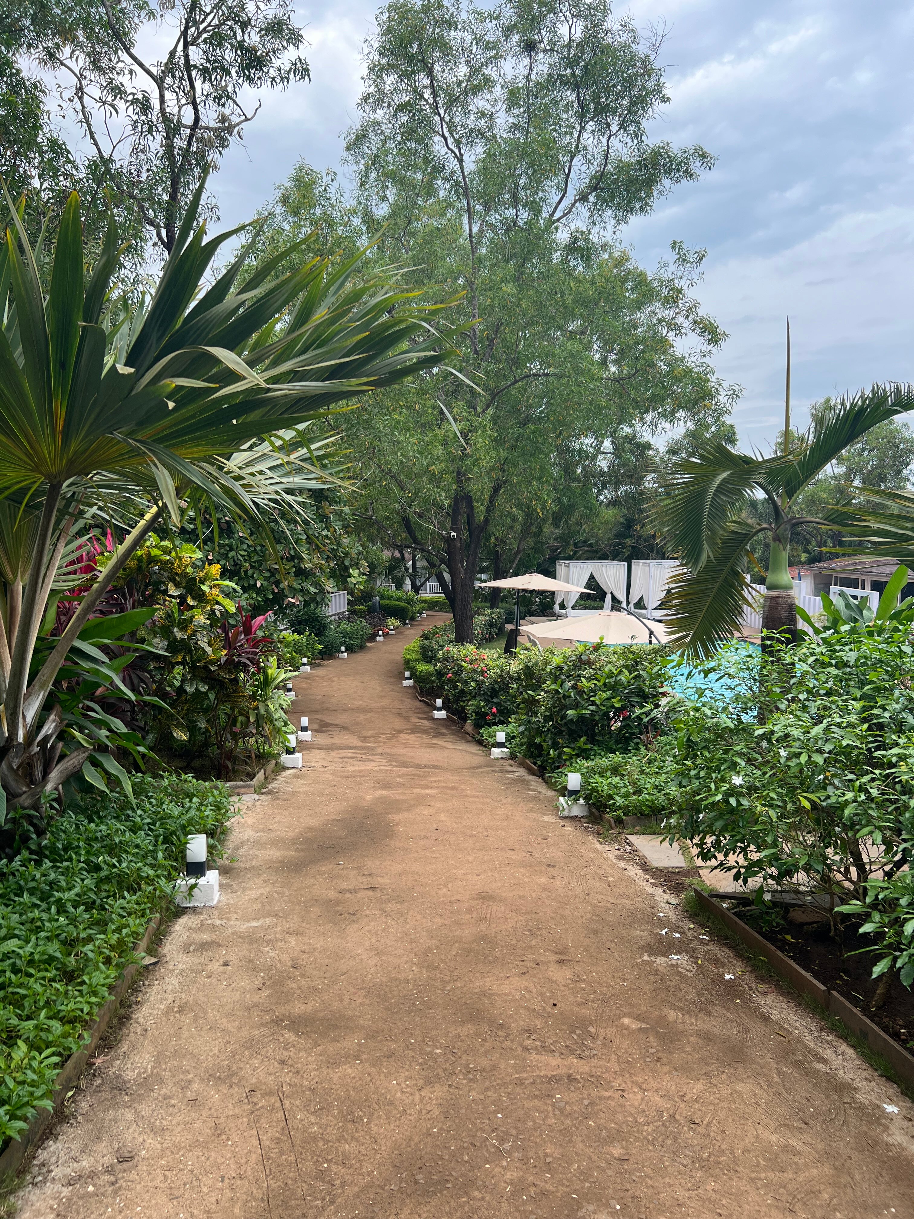 Фото White Woods Resort and Spa