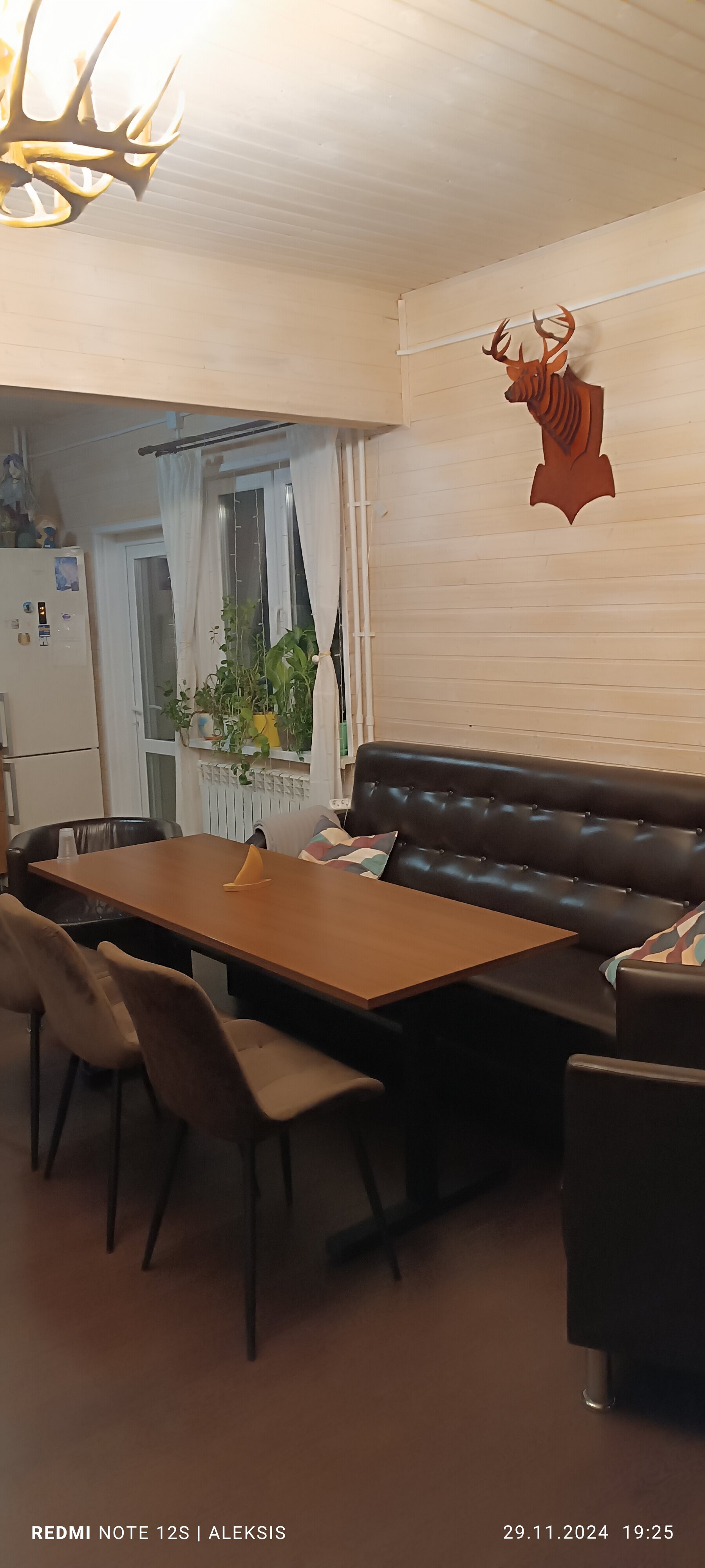 Фото Апельсин