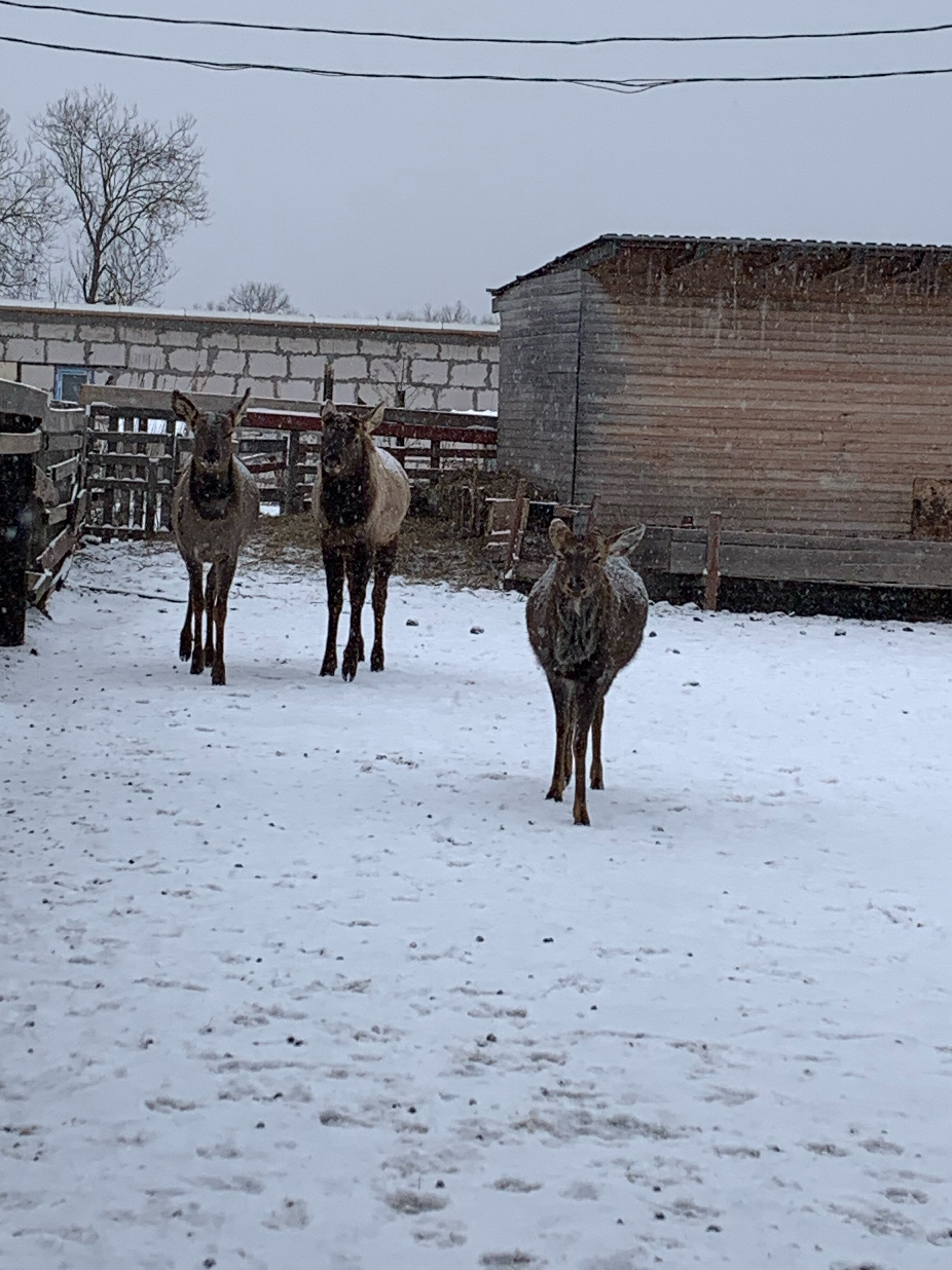Фото Семейная Дача